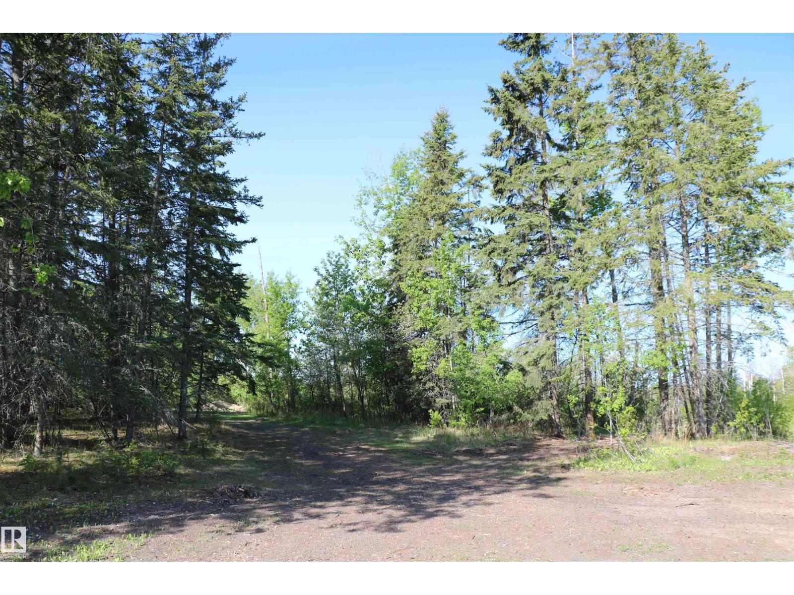 545165 Ste Anne Trail, Rural Lac Ste. Anne County, Alberta  T0E 0A1 - Photo 14 - E4467498