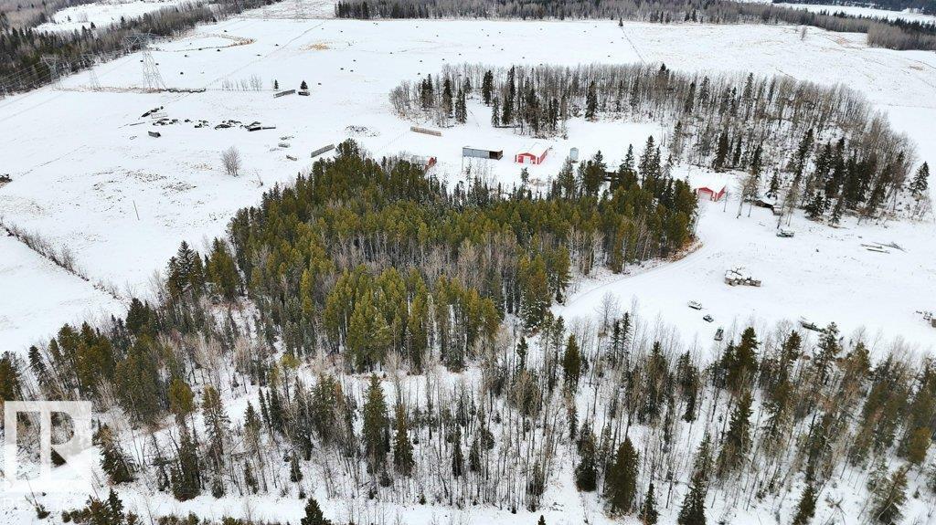 460051 Hwy 20 Hi, Rural Wetaskiwin County, Alberta  T0C 2X0 - Photo 56 - E4467689
