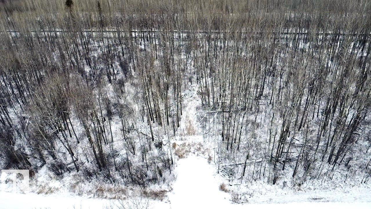 4312 Lakeshore Rd, Rural Parkland County, Alberta T0E 2K0 - Photo 4 - E4467731