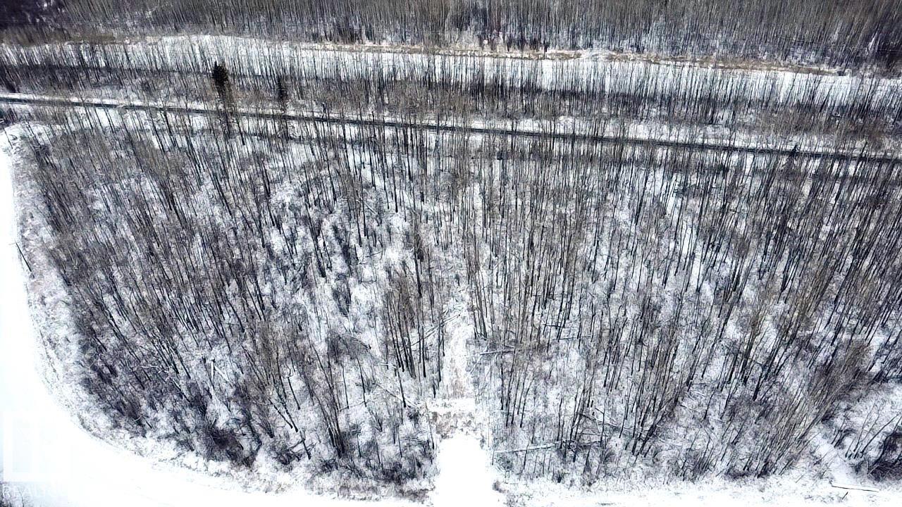 4312 Lakeshore Rd, Rural Parkland County, Alberta T0E 2K0 - Photo 6 - E4467731