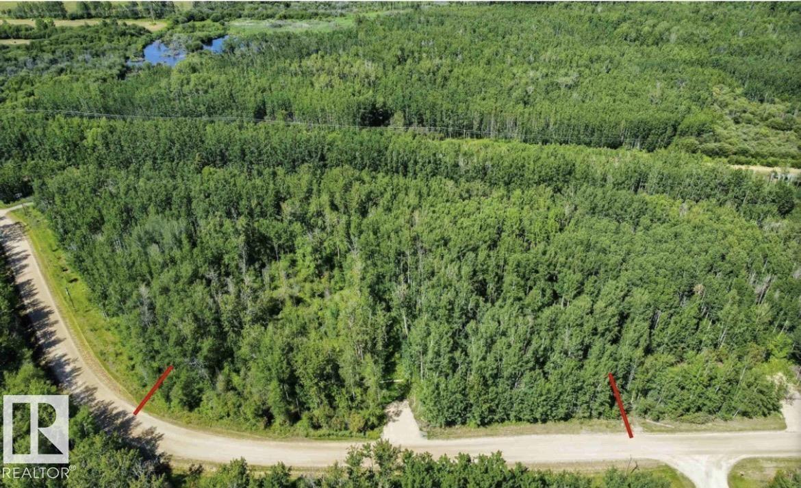 4312 Lakeshore Rd, Rural Parkland County, Alberta T0E 2K0 - Photo 7 - E4467731