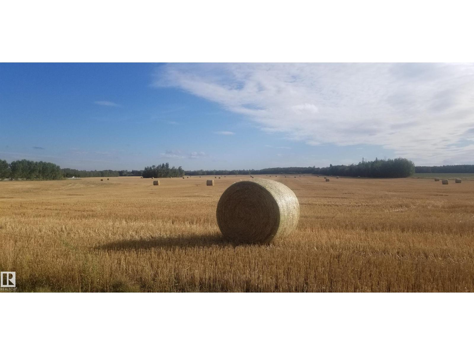 6818 50 Av, Rural Lac Ste. Anne County, Alberta T0E 0A0 - Photo 12 - E4467981