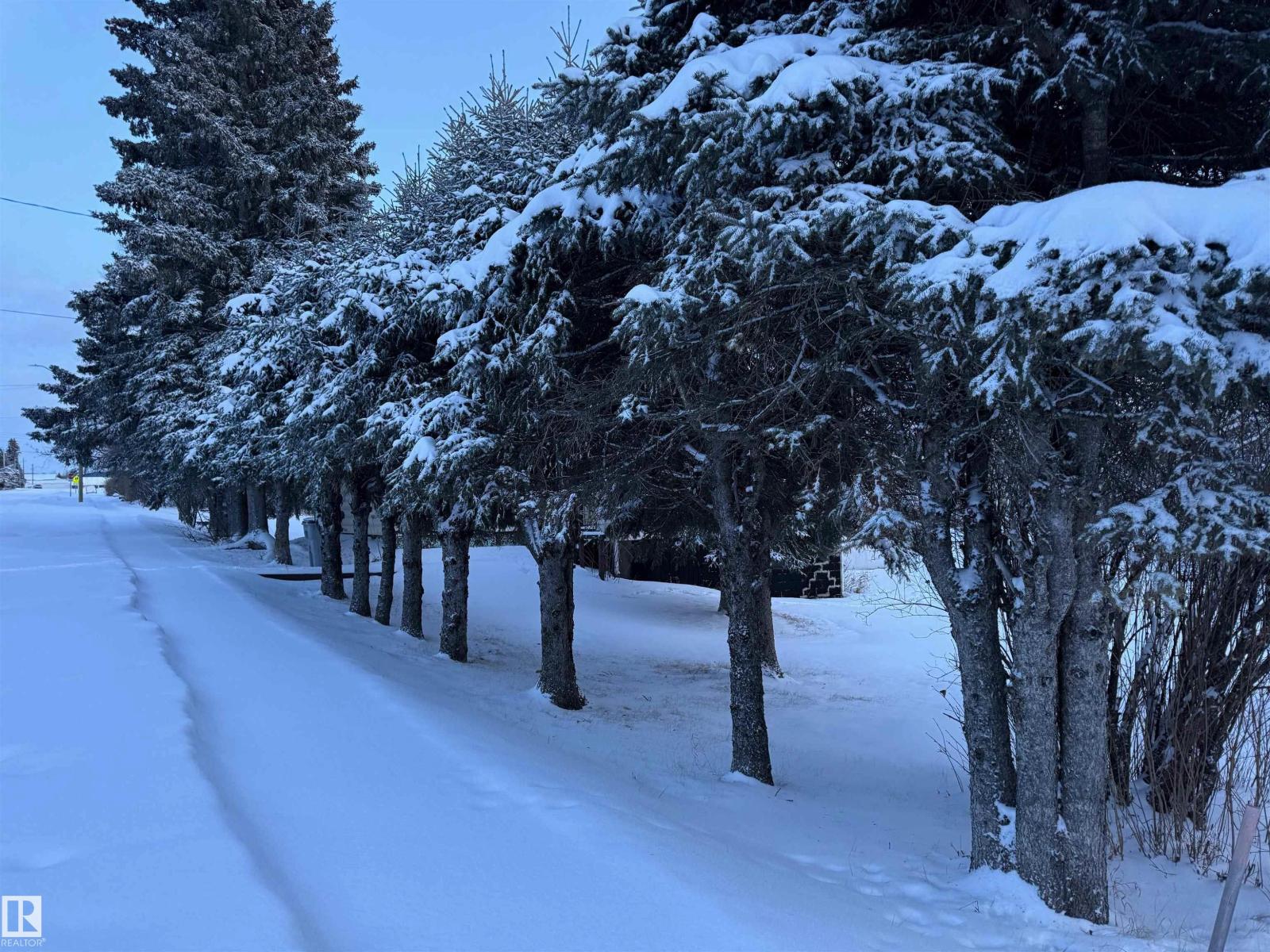 301 4 Av E, Winfield, Alberta  T0C 2X0 - Photo 2 - E4468179