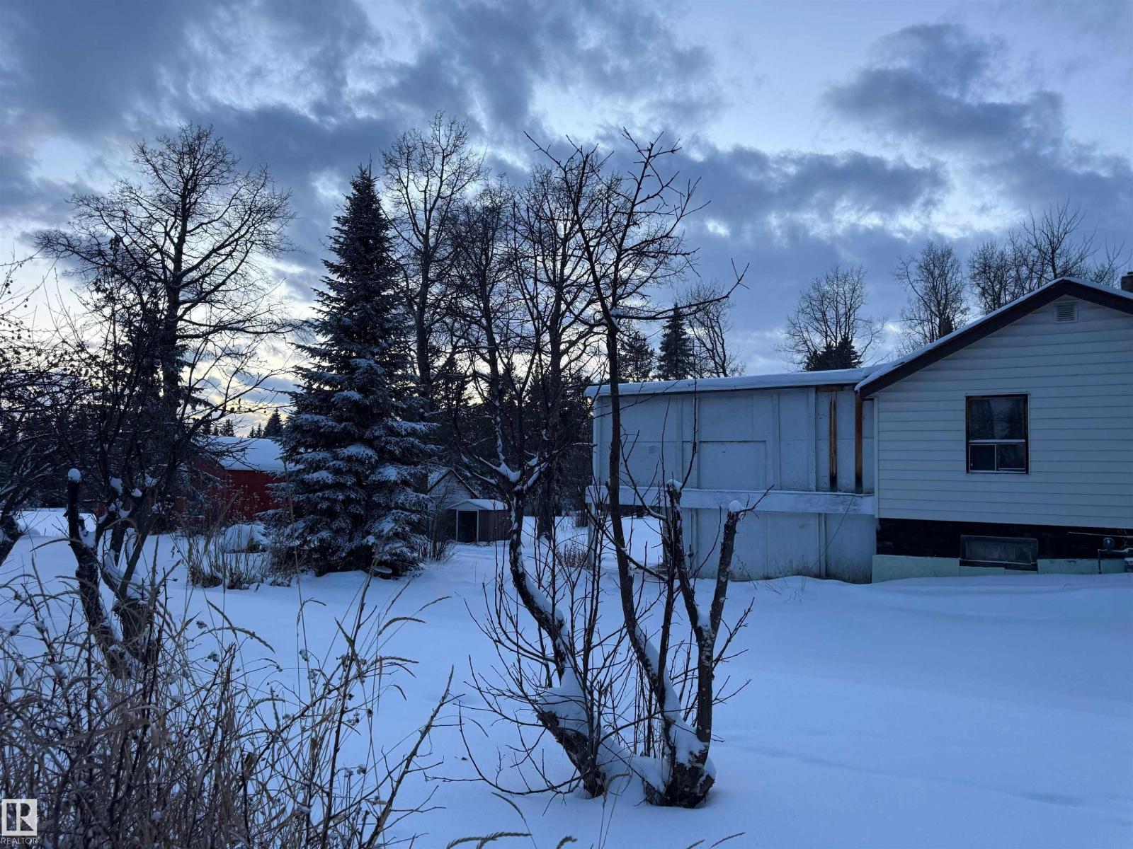 301 4 Av E, Winfield, Alberta  T0C 2X0 - Photo 5 - E4468179