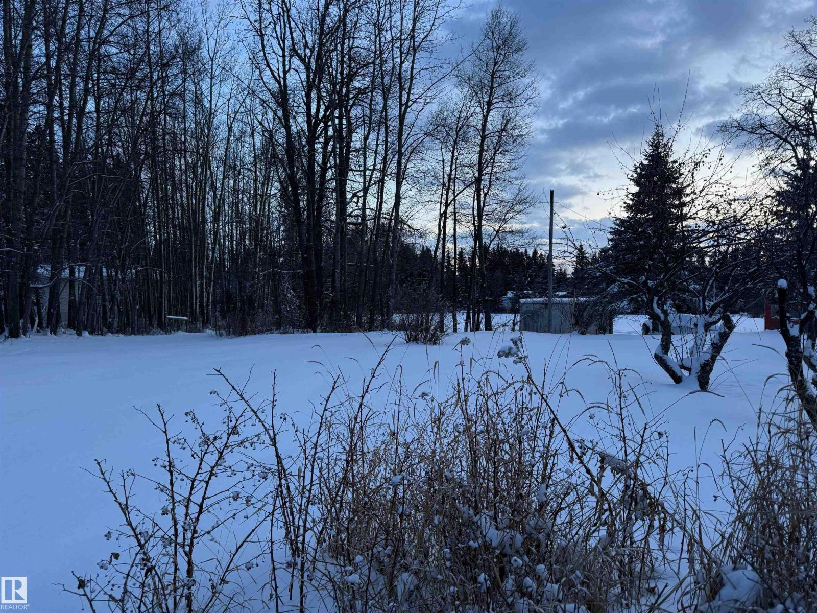 301 4 Av E, Winfield, Alberta  T0C 2X0 - Photo 6 - E4468179