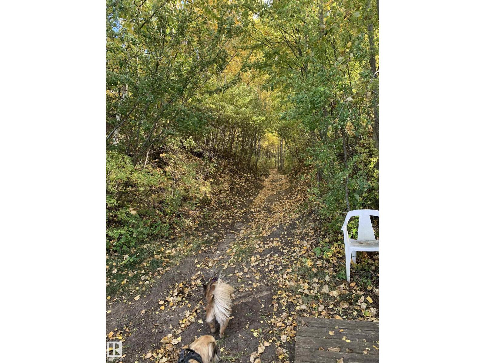 26 Pine Cr, Rural Parkland County, Alberta  T0E 0L0 - Photo 11 - E4468361