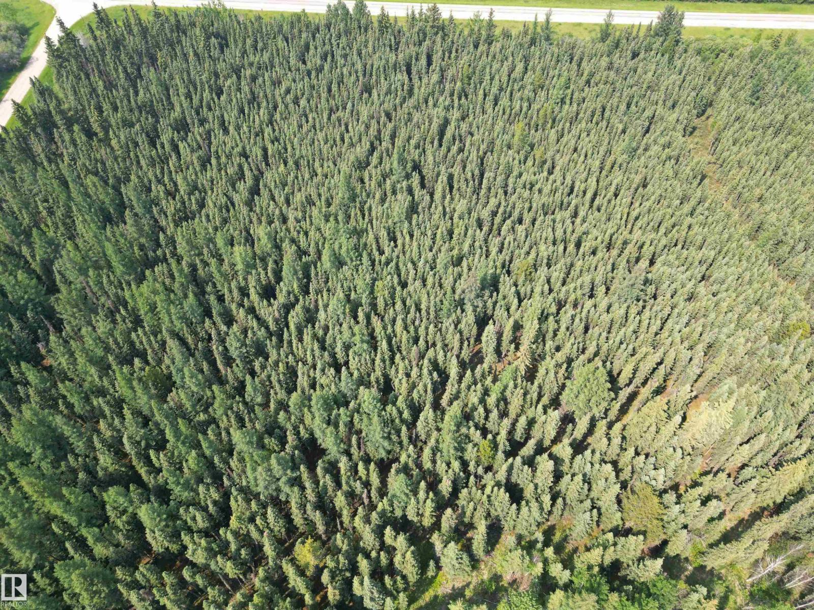 Hwy 16 & Range Rd 100, Rural Yellowhead, Alberta  T0E 2M0 - Photo 4 - E4468870