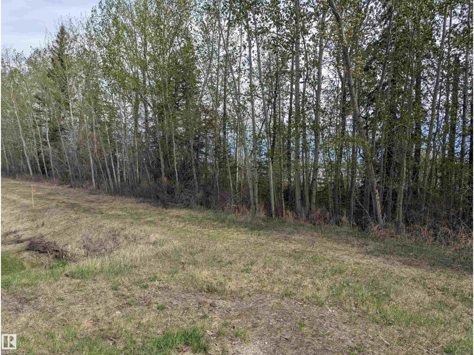 5520 Hwy 633, Rural Lac Ste. Anne County, Alberta  T0E 0L0 - Photo 19 - E4469160