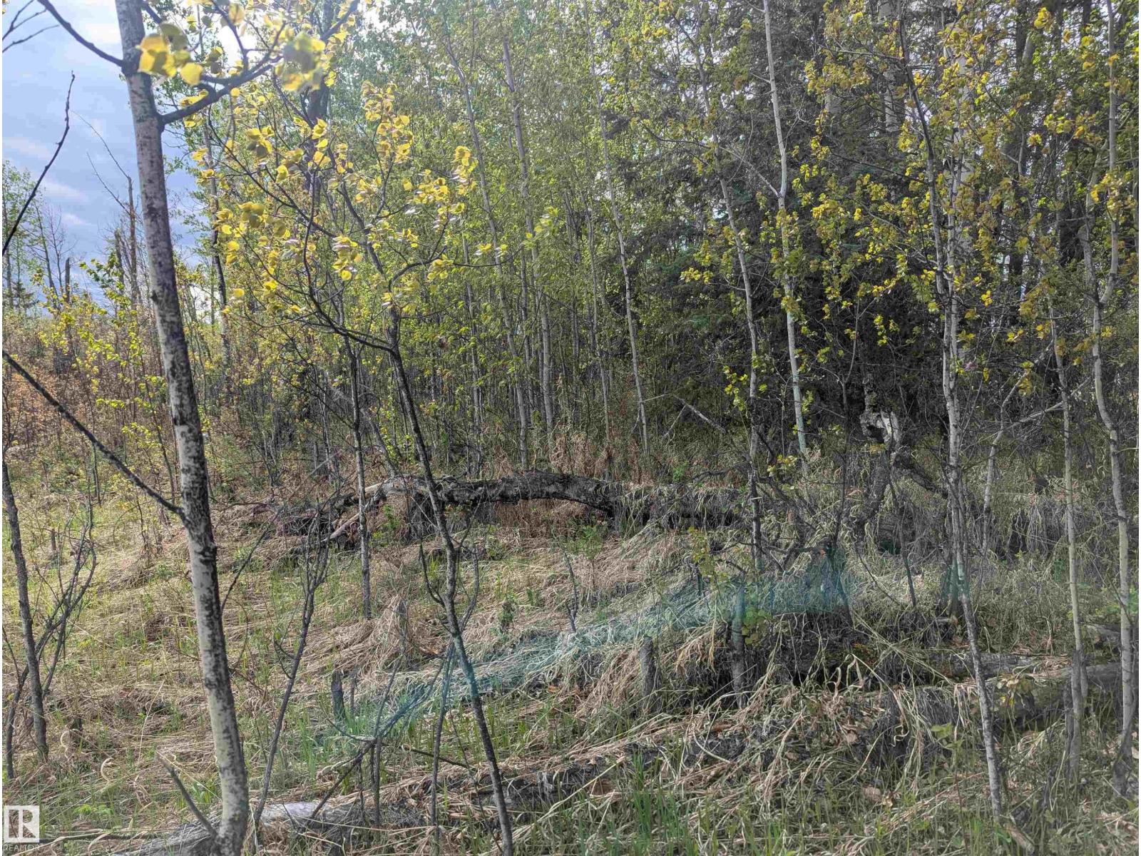 5520 Hwy 633, Rural Lac Ste. Anne County, Alberta  T0E 0L0 - Photo 24 - E4469160