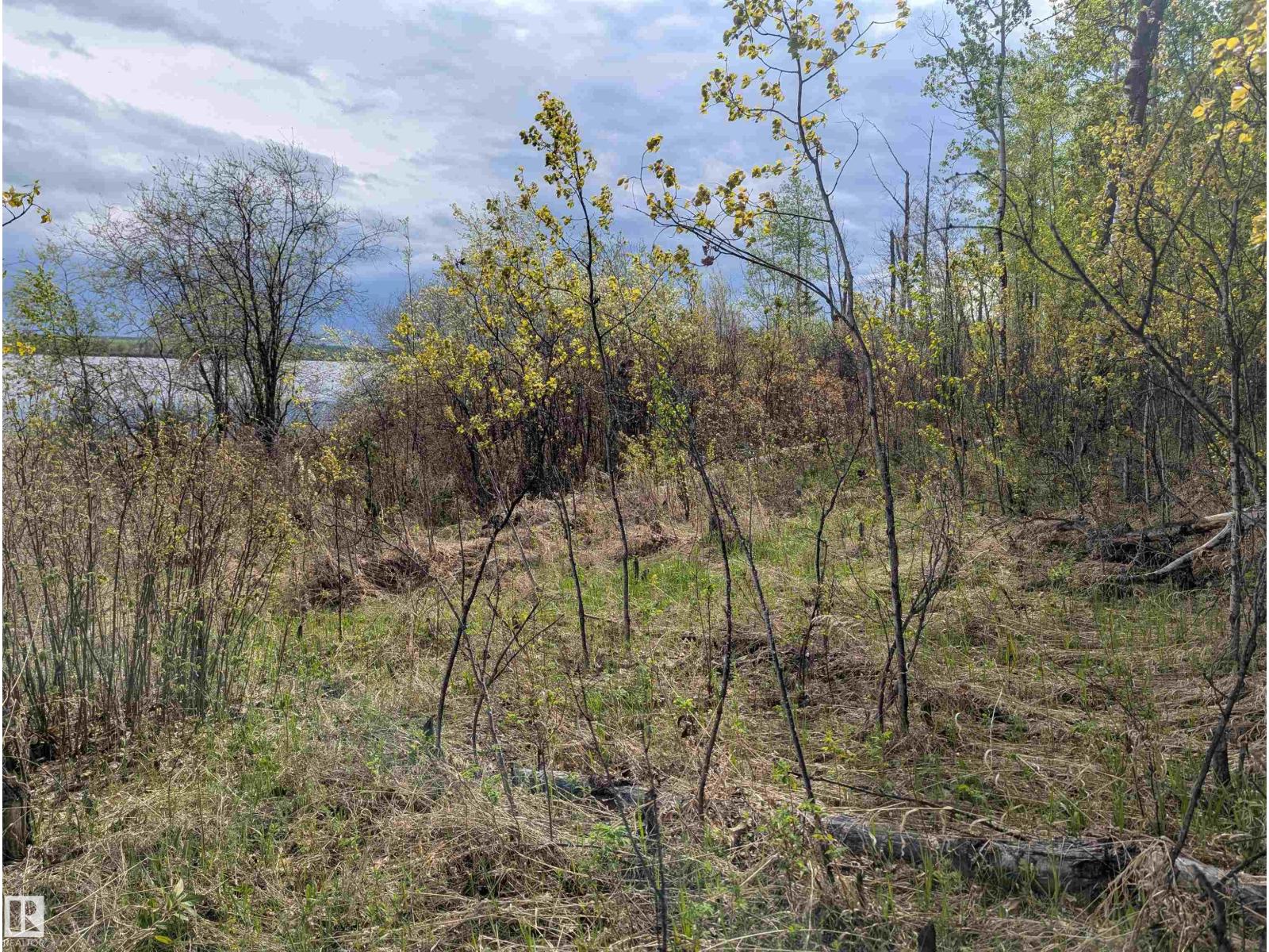 5520 Hwy 633, Rural Lac Ste. Anne County, Alberta  T0E 0L0 - Photo 25 - E4469160