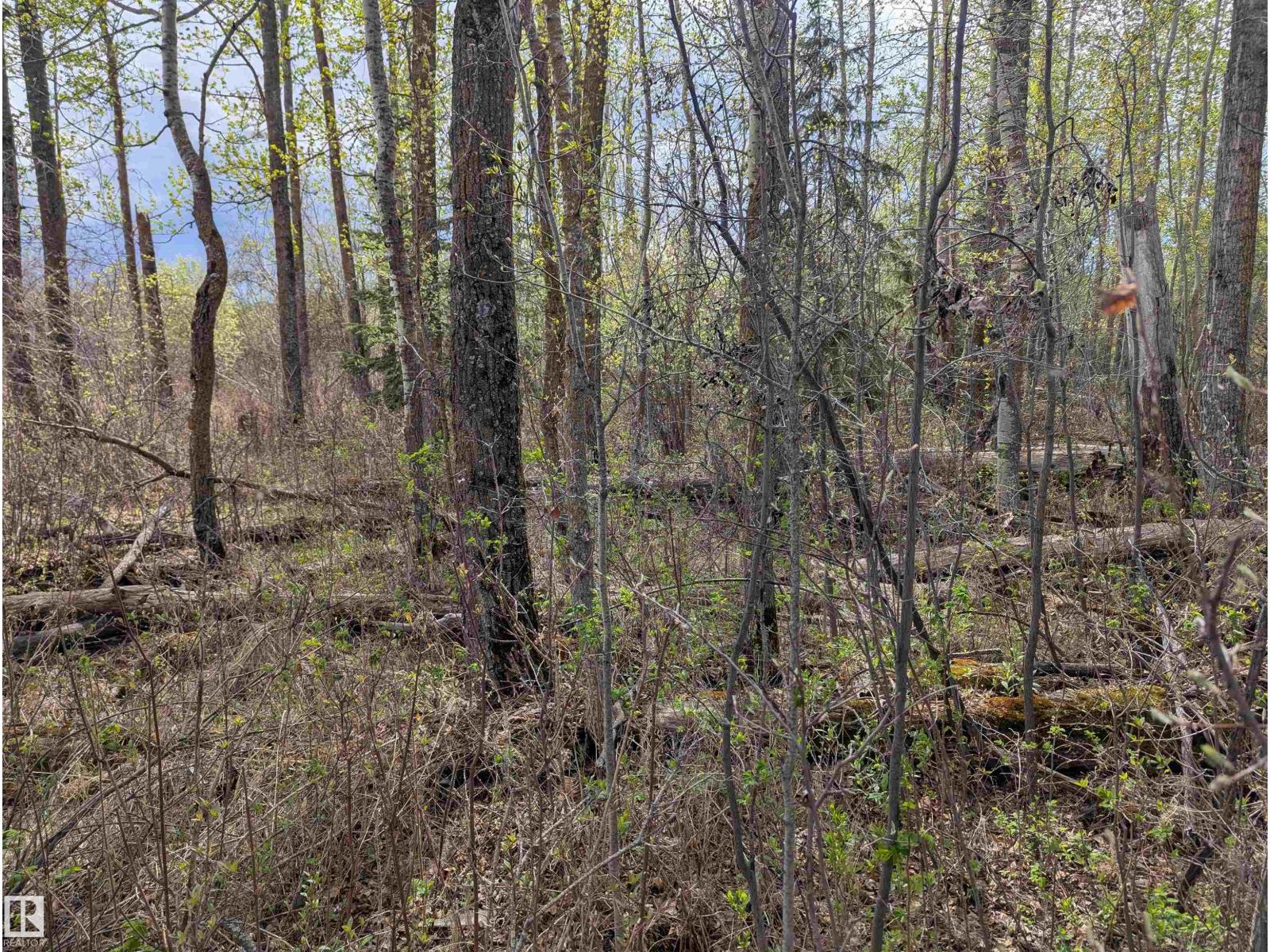 5520 Hwy 633, Rural Lac Ste. Anne County, Alberta  T0E 0L0 - Photo 27 - E4469160