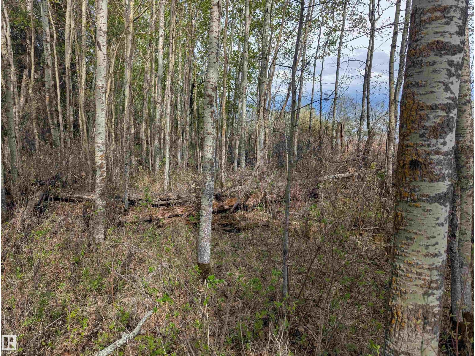 5520 Hwy 633, Rural Lac Ste. Anne County, Alberta  T0E 0L0 - Photo 29 - E4469160