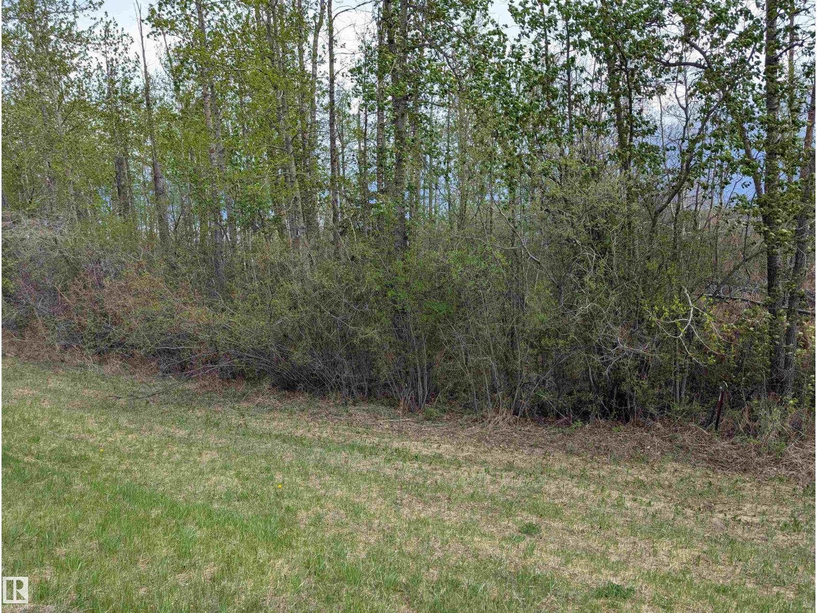 5520 Hwy 633, Rural Lac Ste. Anne County, Alberta  T0E 0L0 - Photo 31 - E4469160