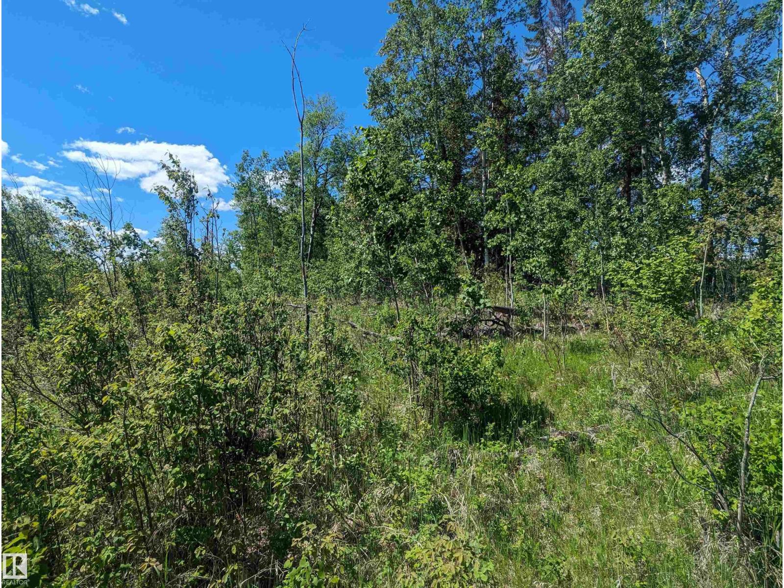 5520 Hwy 633, Rural Lac Ste. Anne County, Alberta  T0E 0L0 - Photo 6 - E4469160