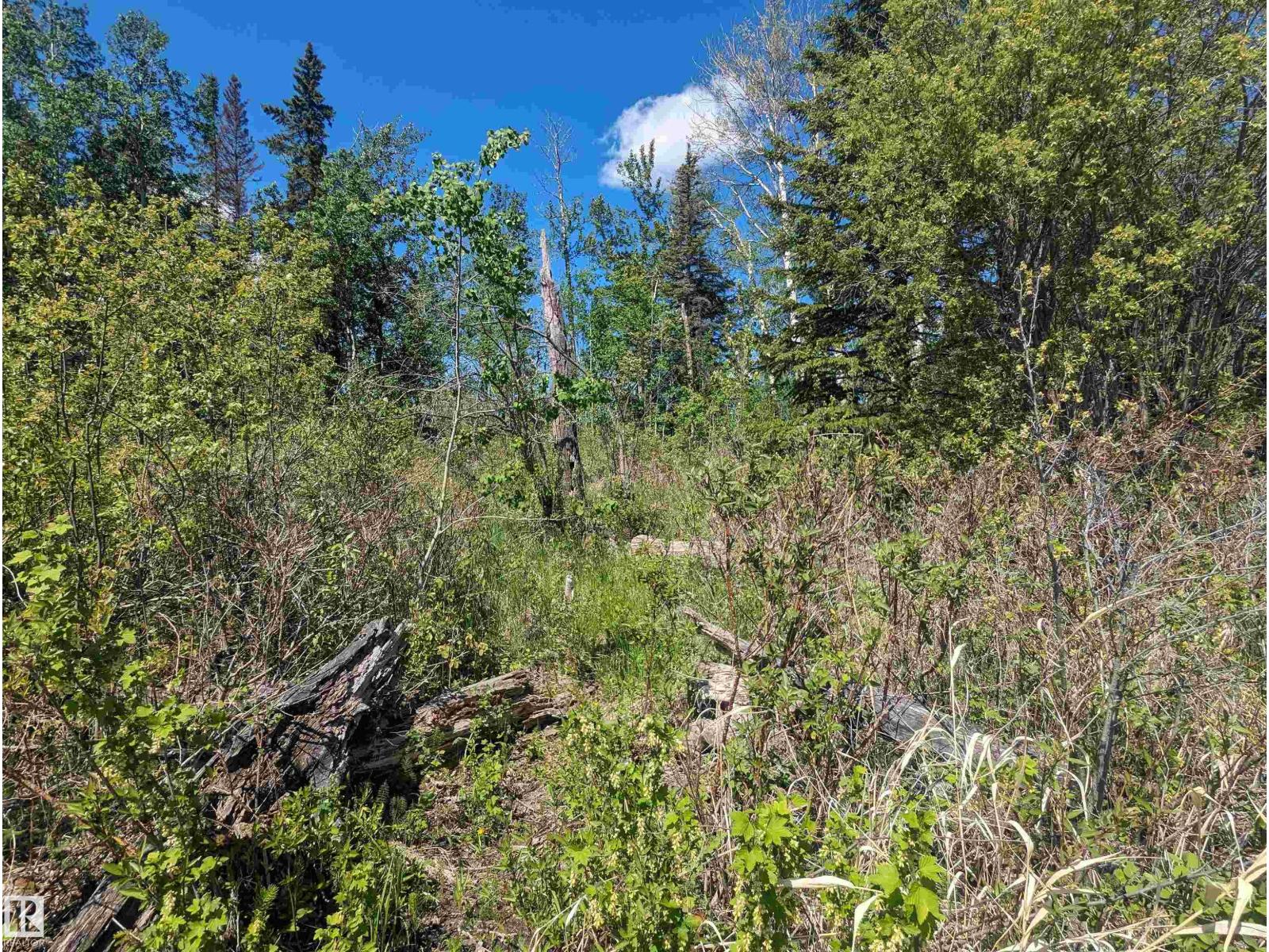 5520 Hwy 633, Rural Lac Ste. Anne County, Alberta  T0E 0L0 - Photo 7 - E4469160