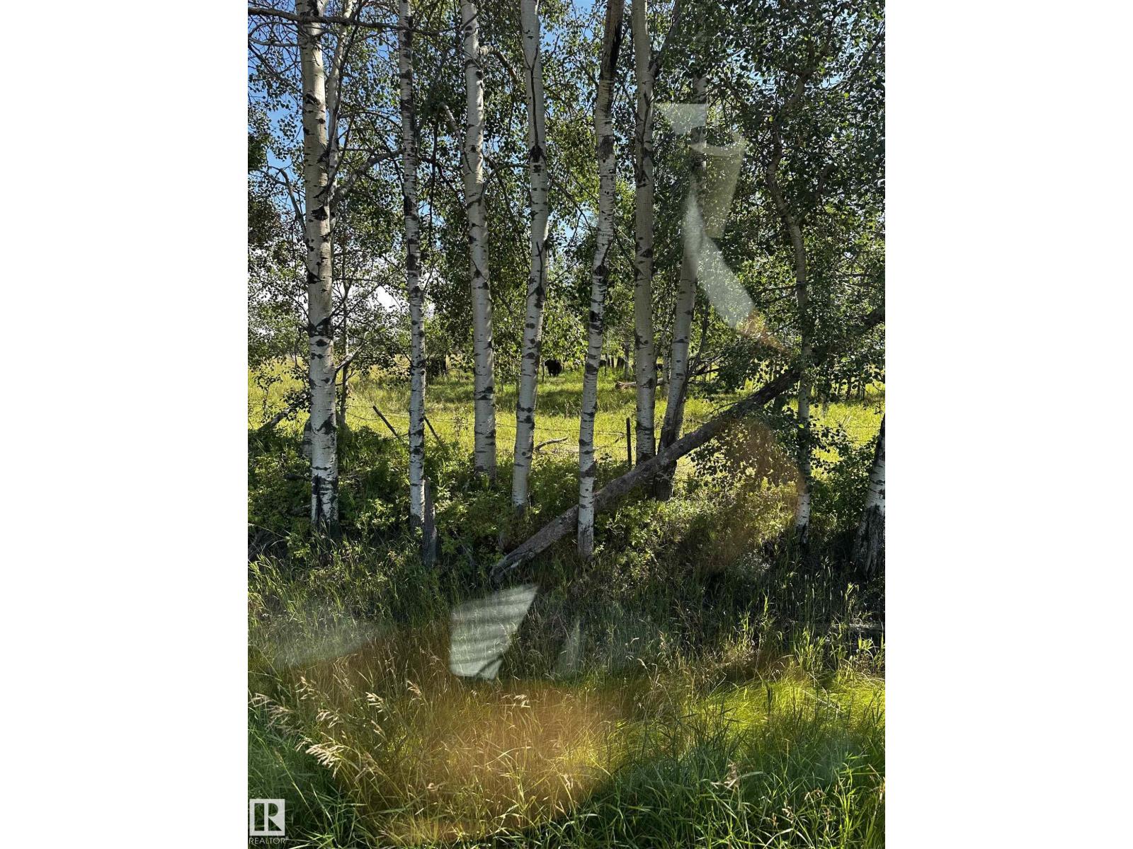 51113 Rr62, Rural Parkland County, Alberta  T0E 2H0 - Photo 2 - E4469424