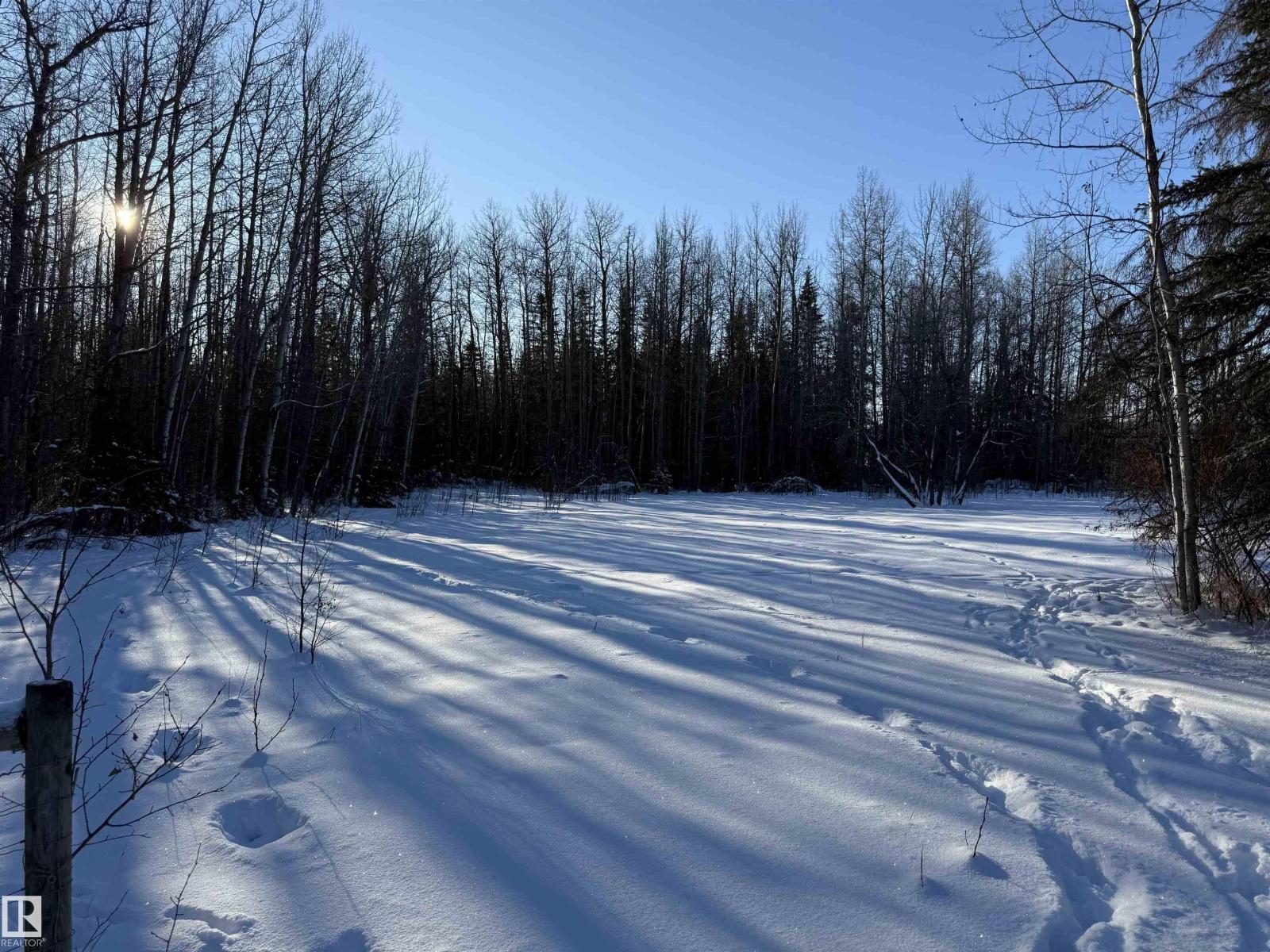 4901 50 Av, Violet Grove, Alberta  T7A 2A1 - Photo 2 - E4469456