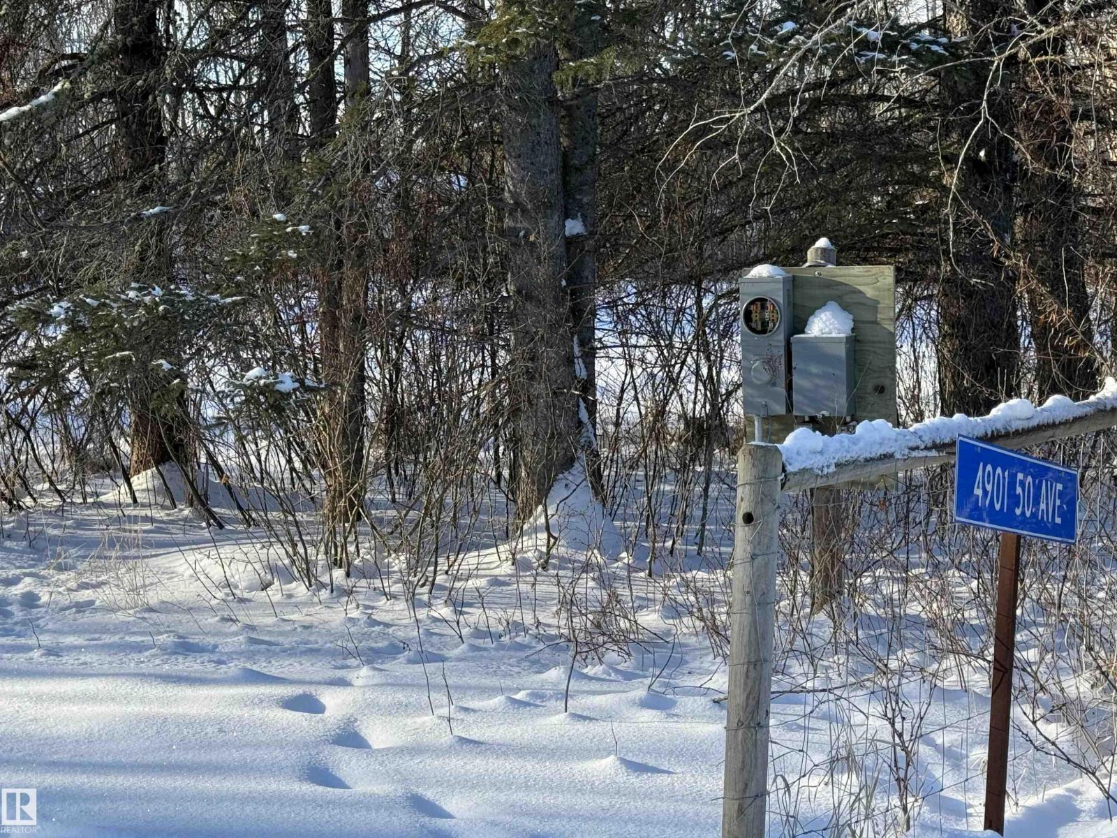 4901 50 Av, Violet Grove, Alberta  T7A 2A1 - Photo 3 - E4469456