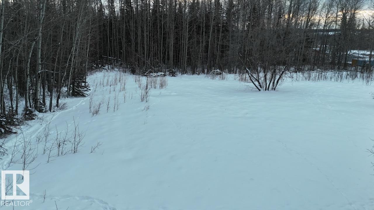 4901 50 Av, Violet Grove, Alberta  T7A 2A1 - Photo 5 - E4469456