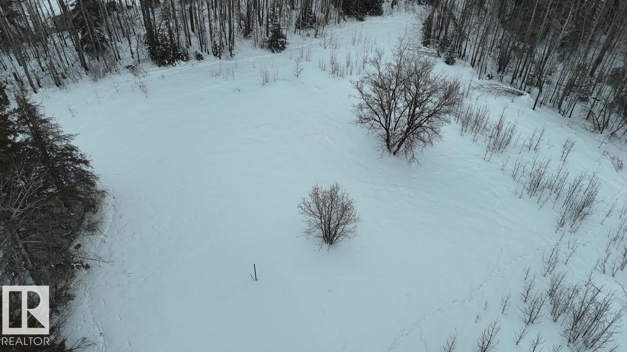 4901 50 Av, Violet Grove, Alberta  T7A 2A1 - Photo 6 - E4469456