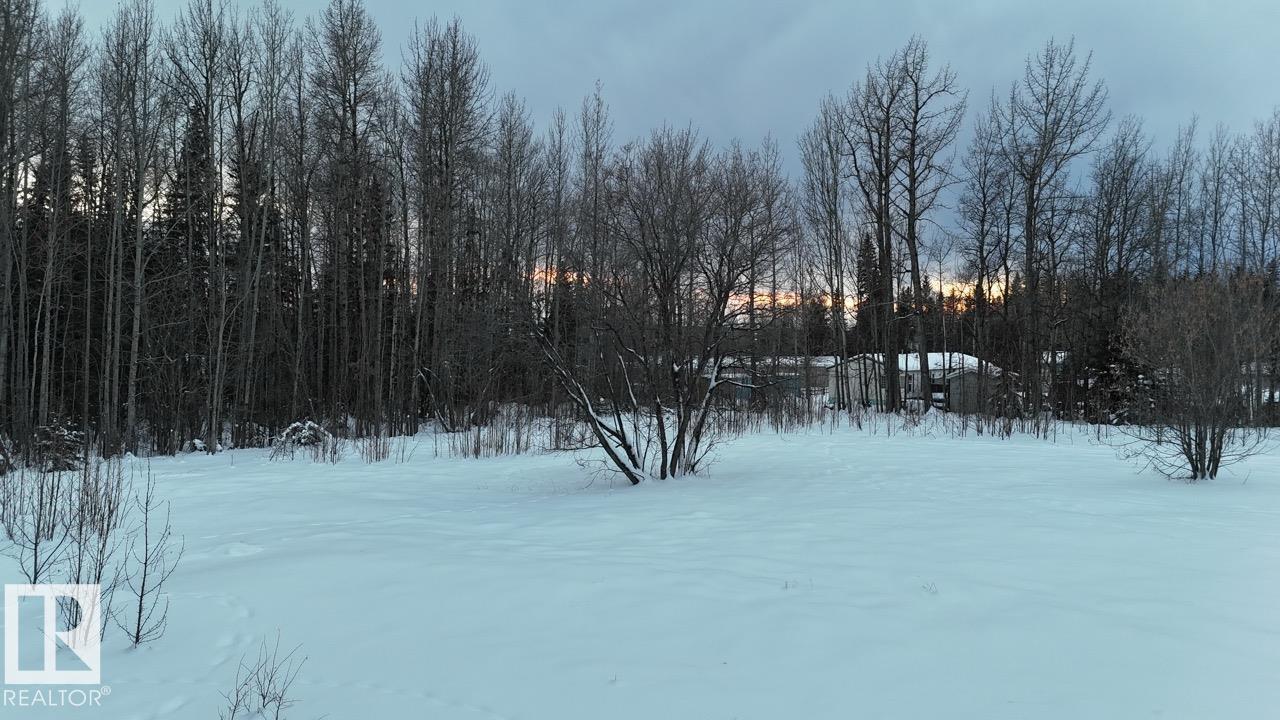 4901 50 Av, Violet Grove, Alberta  T7A 2A1 - Photo 8 - E4469456