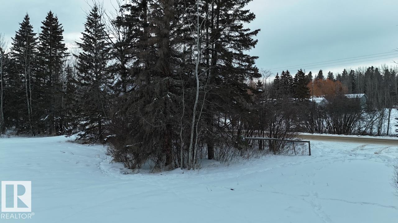 4901 50 Av, Violet Grove, Alberta  T7A 2A1 - Photo 9 - E4469456