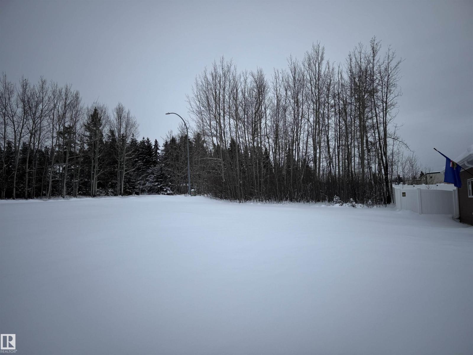 4603 50a Av, Evansburg, Alberta T0E 0T0 - Photo 7 - E4469664