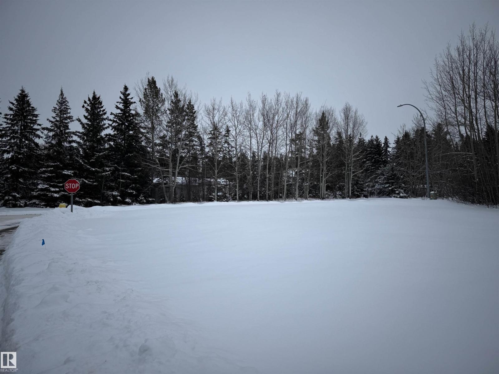 4603 50a Av, Evansburg, Alberta T0E 0T0 - Photo 8 - E4469664