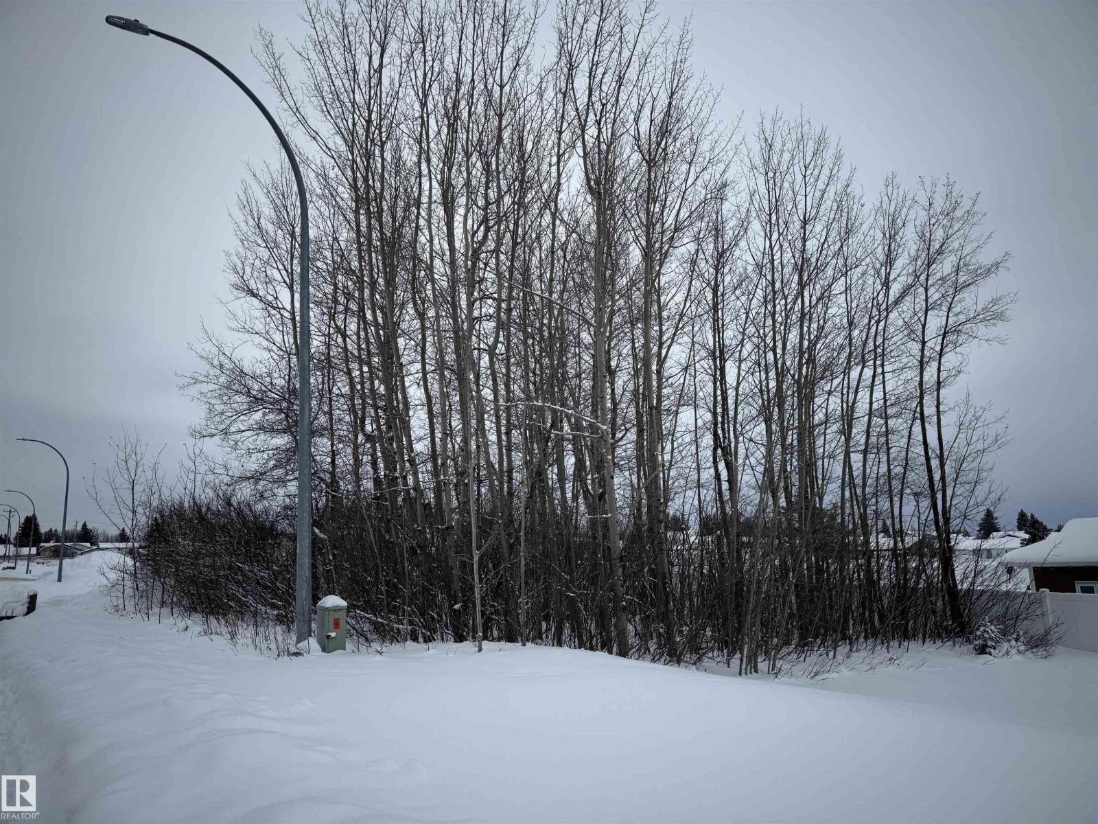 4603 50a Av, Evansburg, Alberta T0E 0T0 - Photo 9 - E4469664