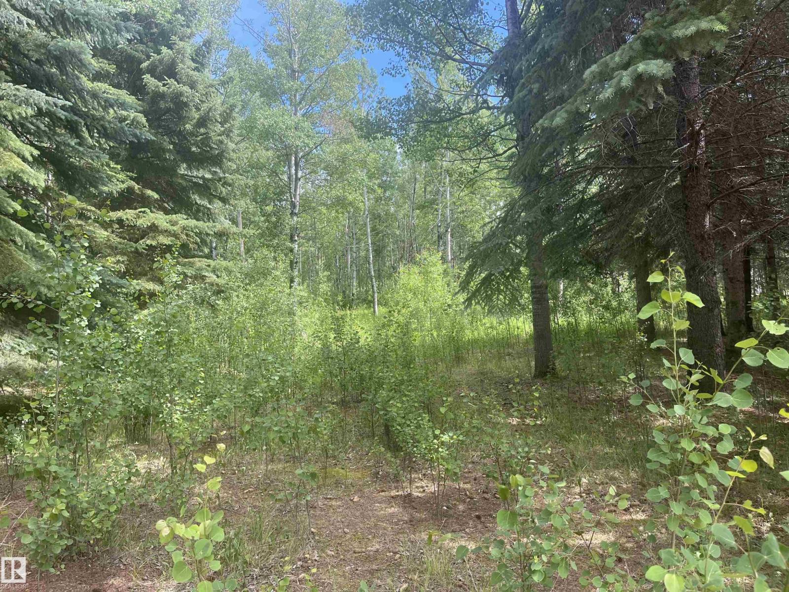 502 Highland Rd, Rural Wetaskiwin County, Alberta  T0C 2C0 - Photo 4 - E4469771