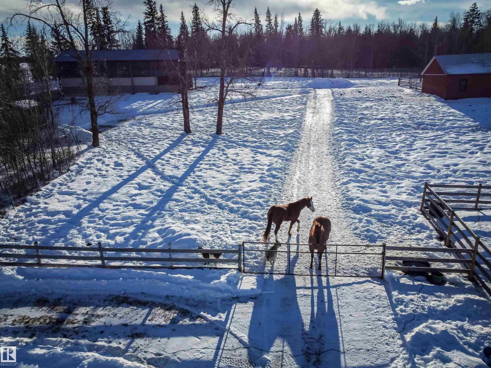 3307 Twp Road 564, Rural Lac Ste. Anne County, Alberta  T0E 1A0 - Photo 38 - E4469838