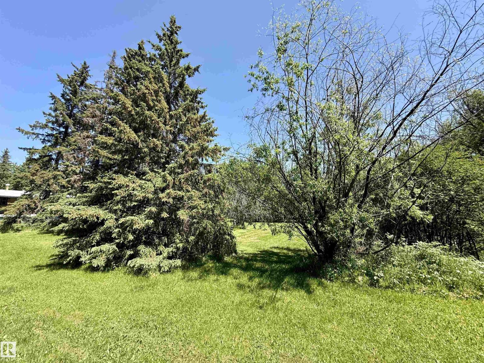 507 Lakeshore Drive Buck Lake, Rural Wetaskiwin County, Alberta T0C 0T0 - Photo 18 - E4469938