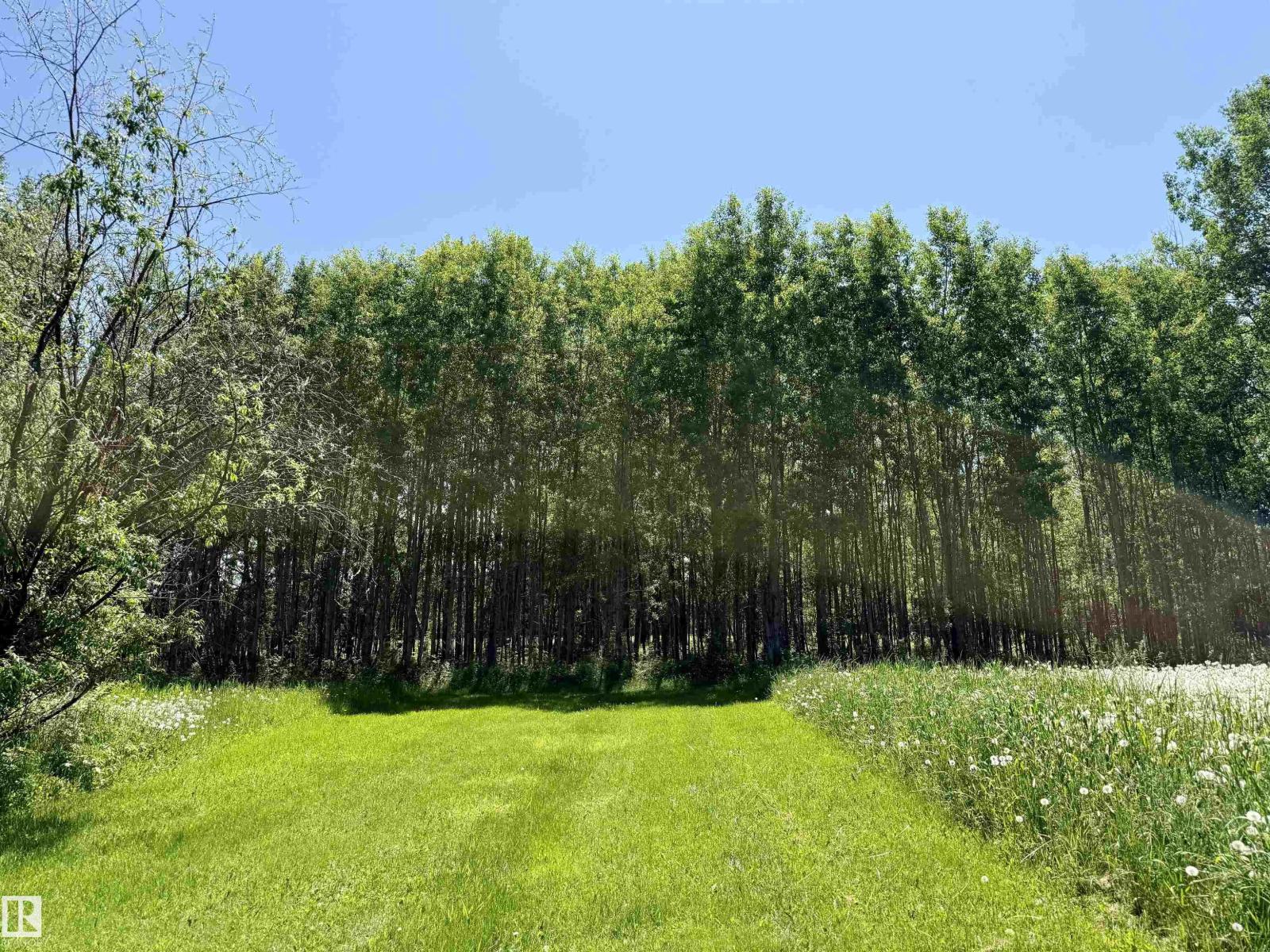 507 Lakeshore Drive Buck Lake, Rural Wetaskiwin County, Alberta T0C 0T0 - Photo 19 - E4469938