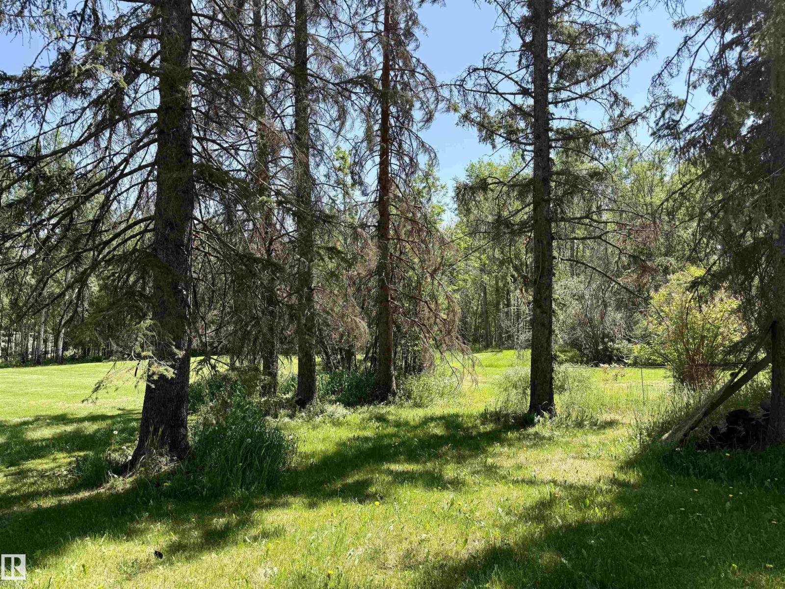 507 Lakeshore Drive Buck Lake, Rural Wetaskiwin County, Alberta T0C 0T0 - Photo 20 - E4469938