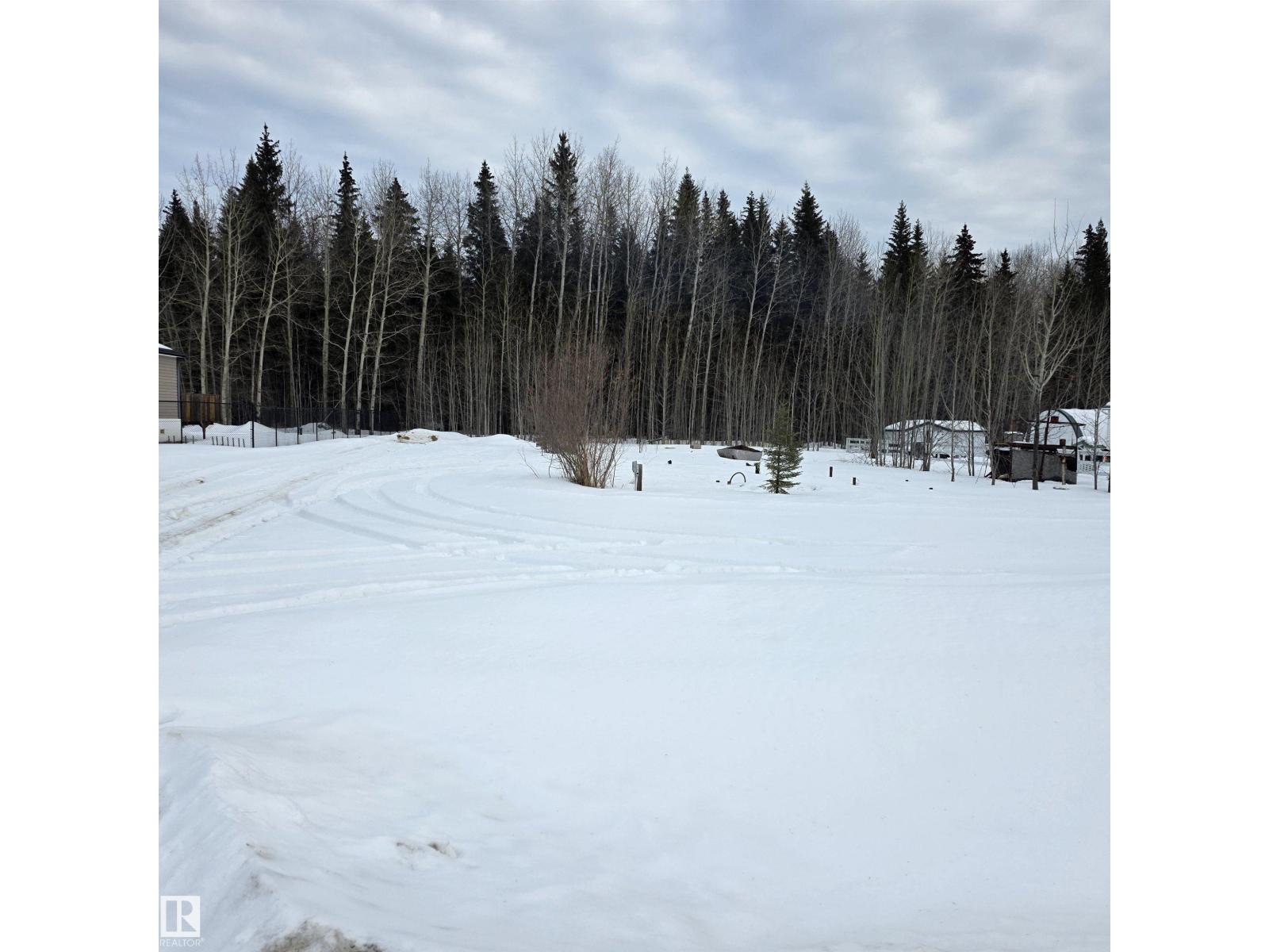 4721 50 St, Violet Grove, Alberta  T7A 2A1 - Photo 2 - E4470019