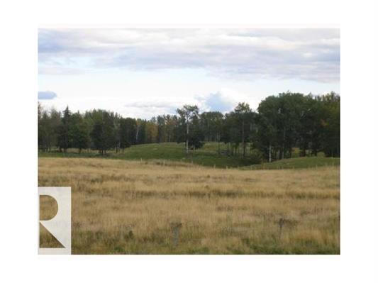 37 River Ridge Es Ne, Rural Wetaskiwin County, Alberta T0C 2V0 - Photo 2 - E4470489