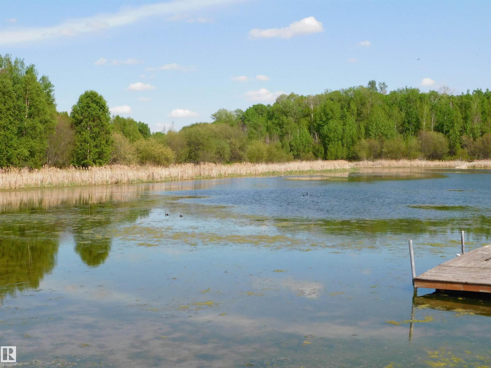 52123 Rge Road 25, Rural Parkland County, Alberta T0E 0H0 - Photo 10 - E4471211