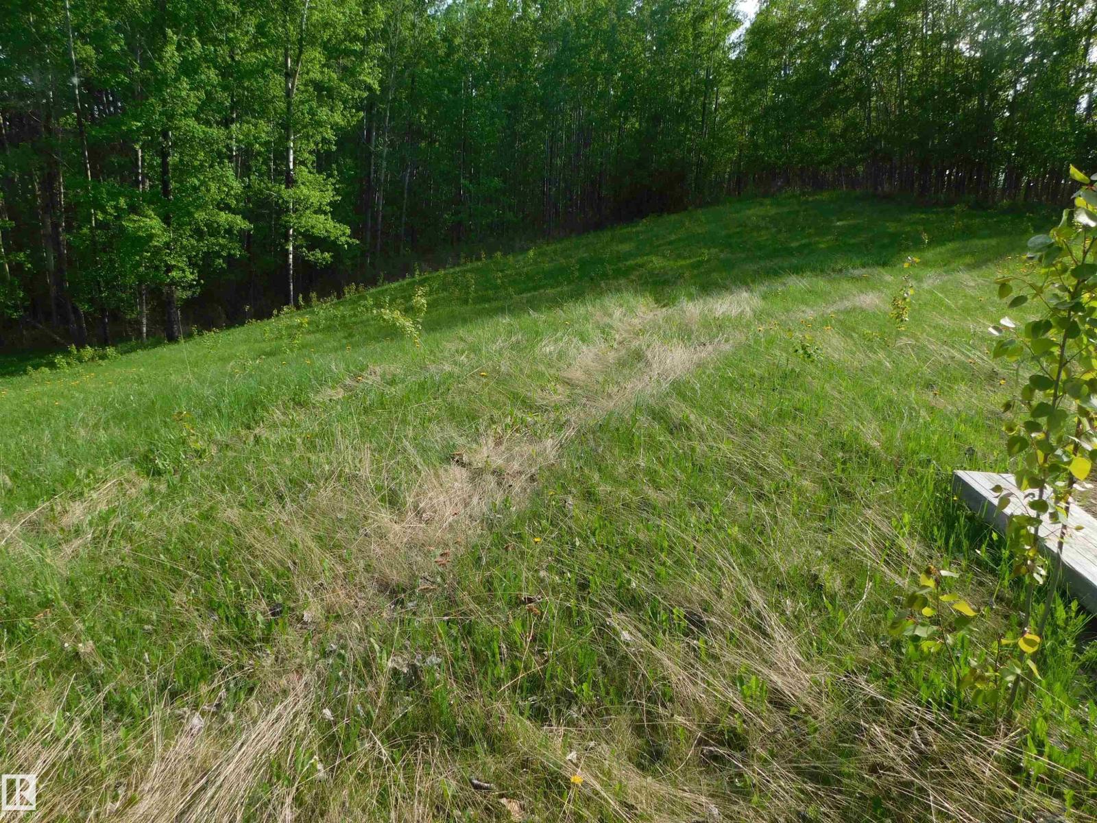 52123 Rge Road 25, Rural Parkland County, Alberta T0E 0H0 - Photo 35 - E4471211