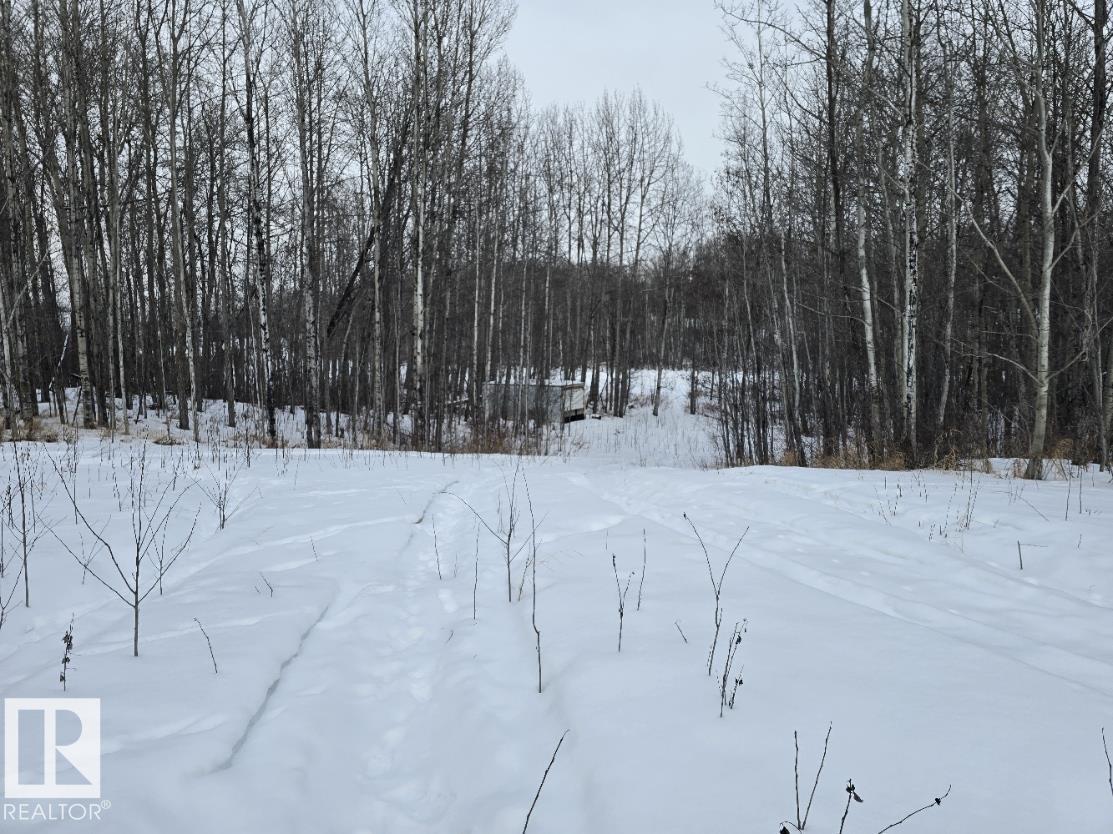 52123 Rge Road 25, Rural Parkland County, Alberta T0E 0H0 - Photo 4 - E4471211