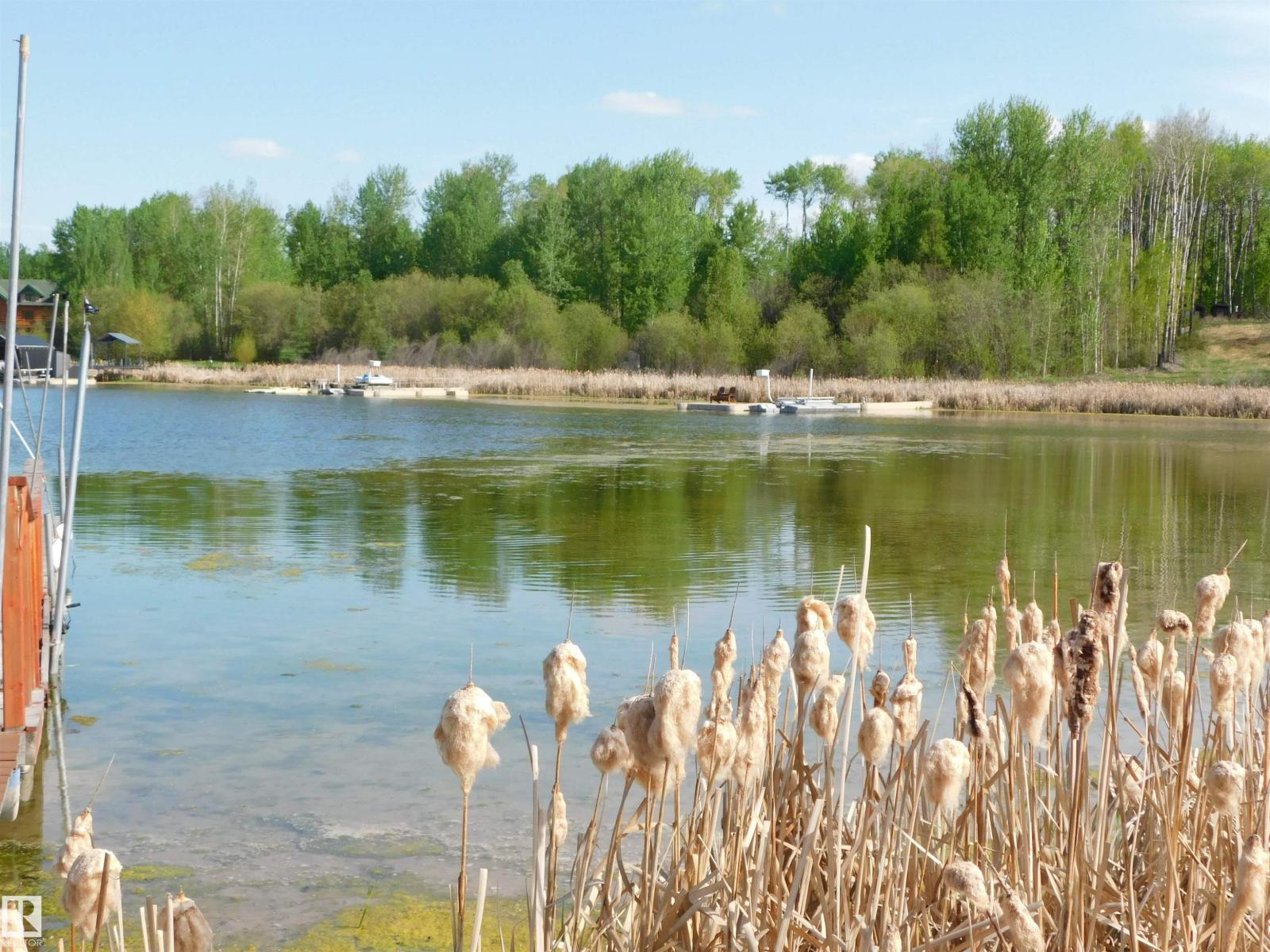 52123 Rge Road 25, Rural Parkland County, Alberta T0E 0H0 - Photo 8 - E4471211