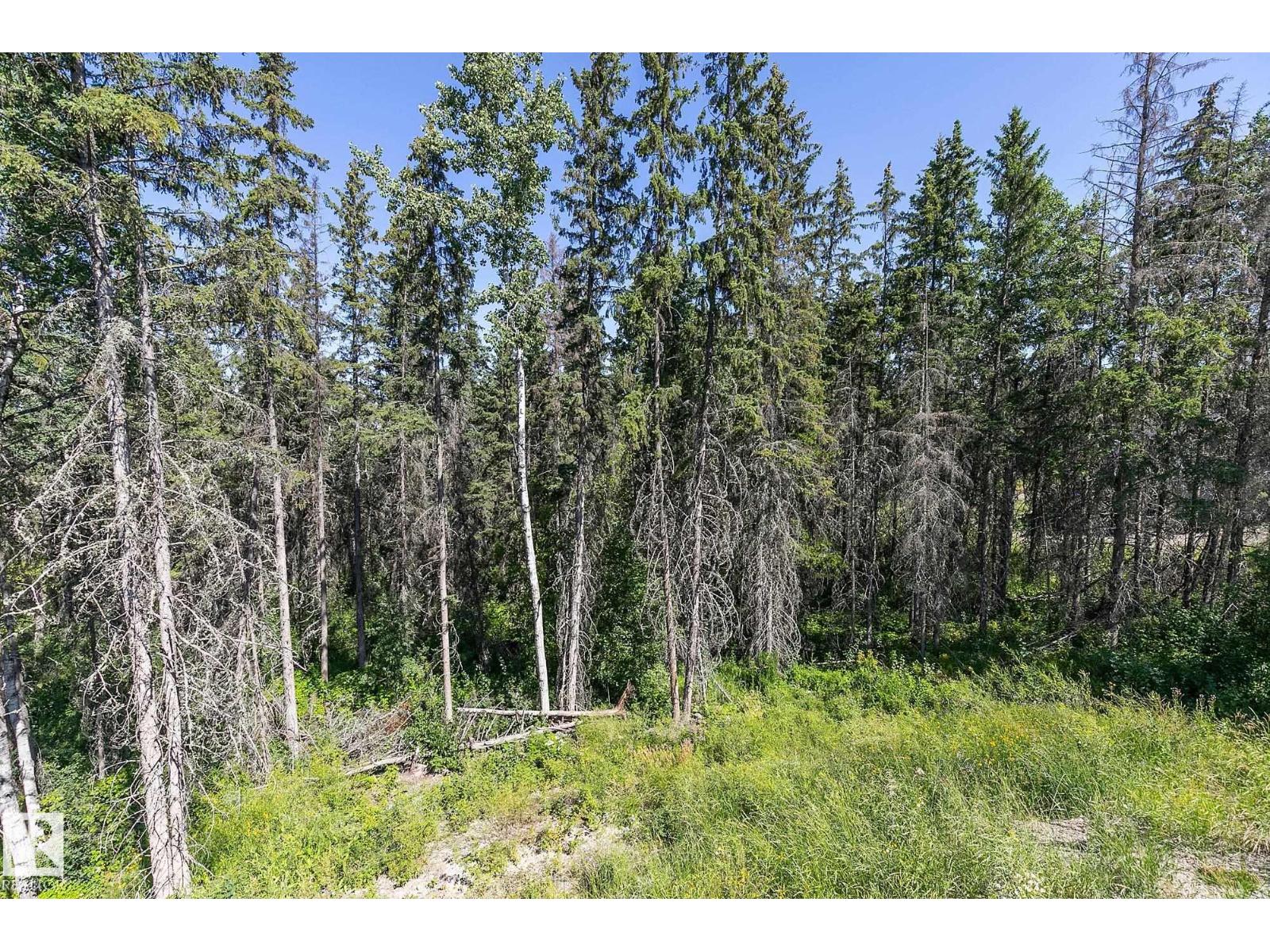 311 55504 Rr 13, Rural Lac Ste. Anne County, Alberta T0E 1V0 - Photo 65 - E4471562