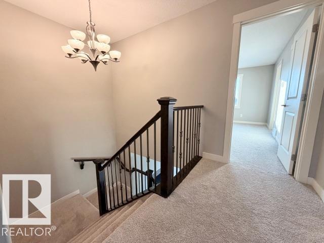 5025 53 Av, Calmar, Alberta T0C 0V0 - Photo 17 - E4471586