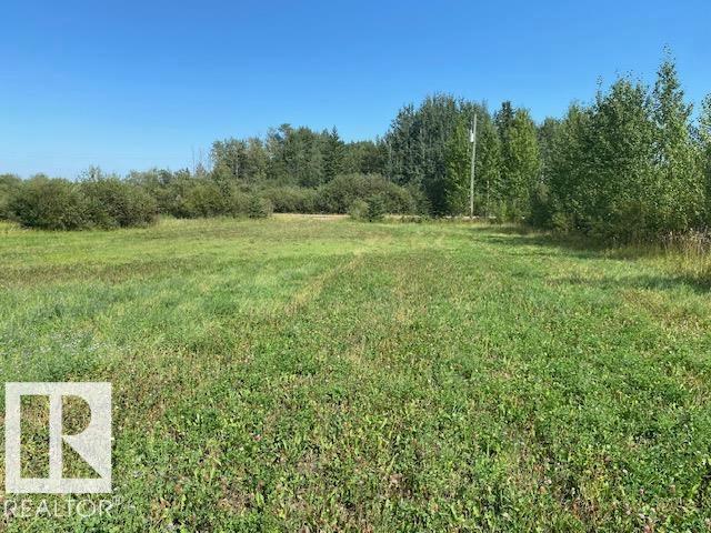 480068 Rg Rd 281, Rural Wetaskiwin County, Alberta T0C 2P0 - Photo 2 - E4471901