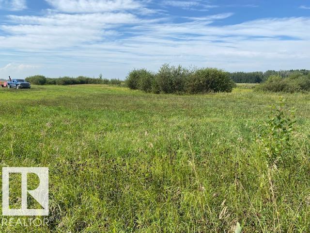 480068 Rg Rd 281, Rural Wetaskiwin County, Alberta T0C 2P0 - Photo 4 - E4471901