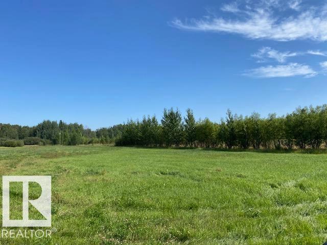480068 Rg Rd 281, Rural Wetaskiwin County, Alberta T0C 2P0 - Photo 6 - E4471901