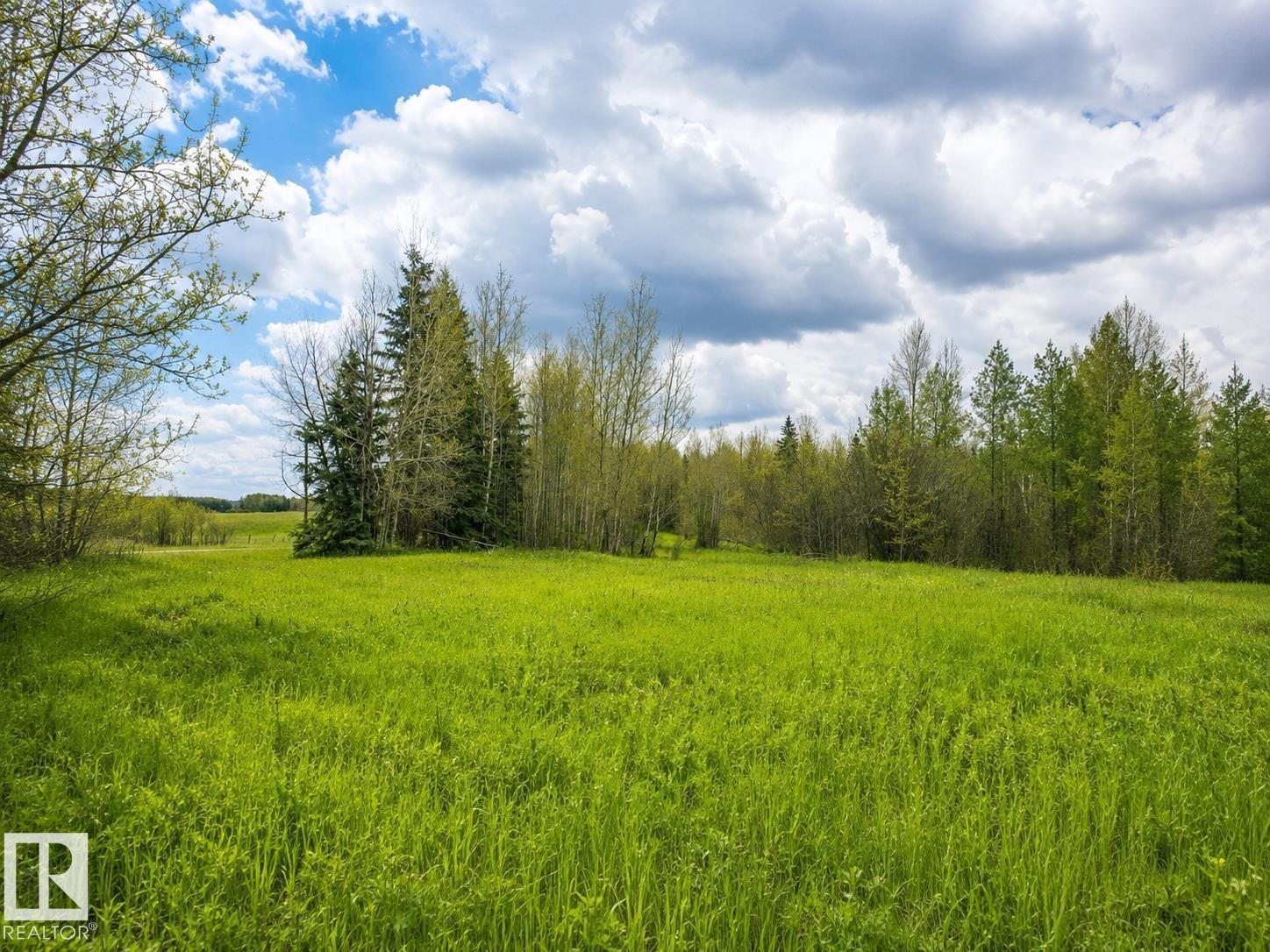 5115 Twp Road 490a, Rural Brazeau County, Alberta T0C 0C0 - Photo 3 - E4472786