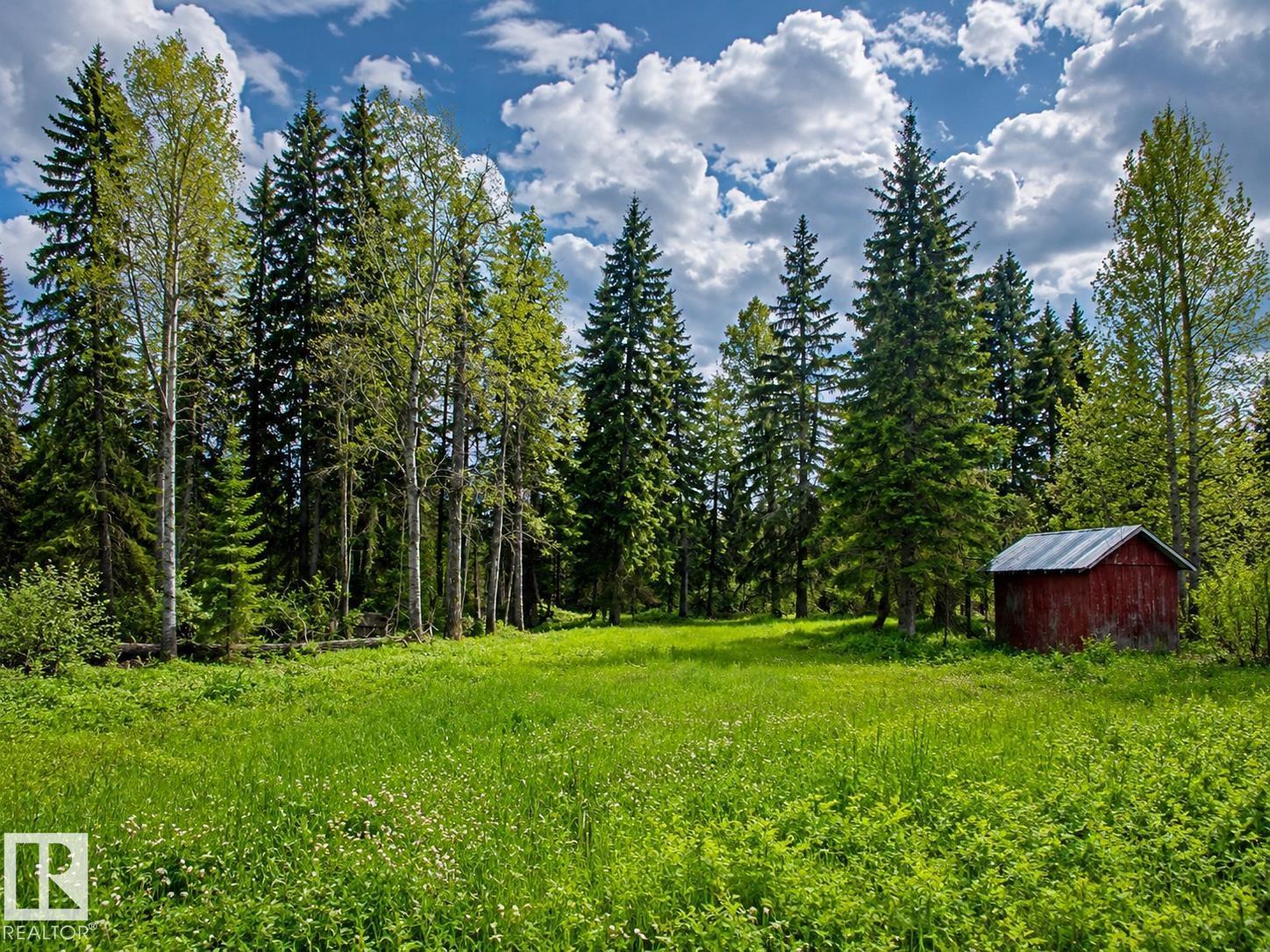 5115 Twp Road 490a, Rural Brazeau County, Alberta T0C 0C0 - Photo 4 - E4472786