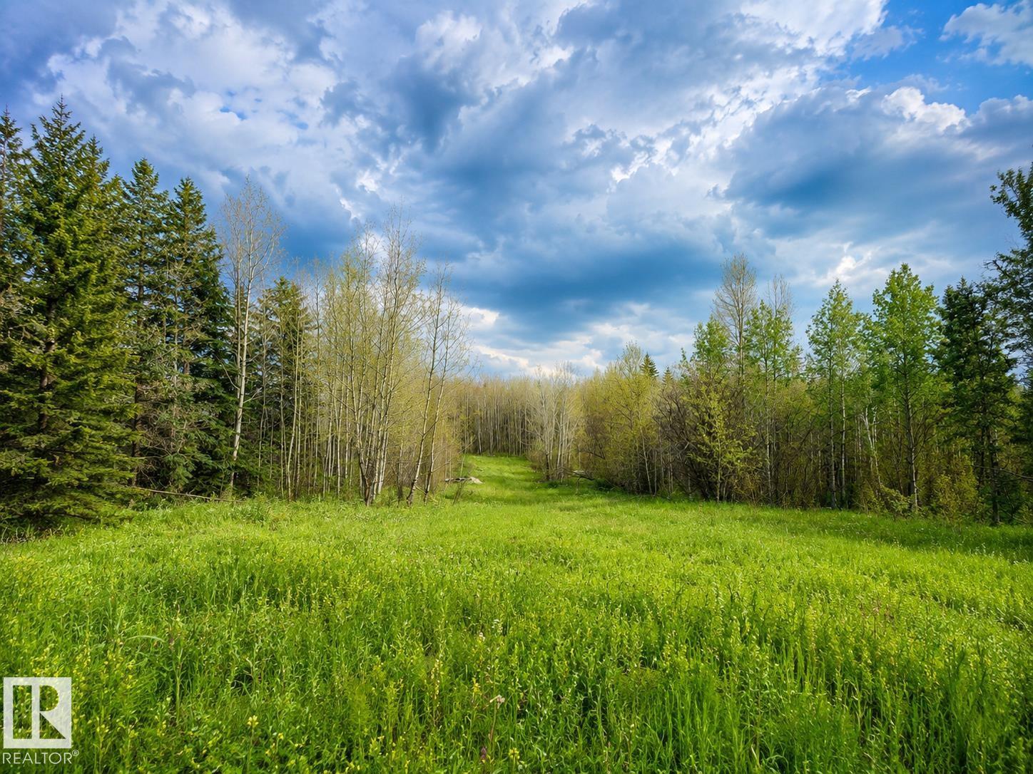 5115 Twp Road 490a, Rural Brazeau County, Alberta T0C 0C0 - Photo 5 - E4472786