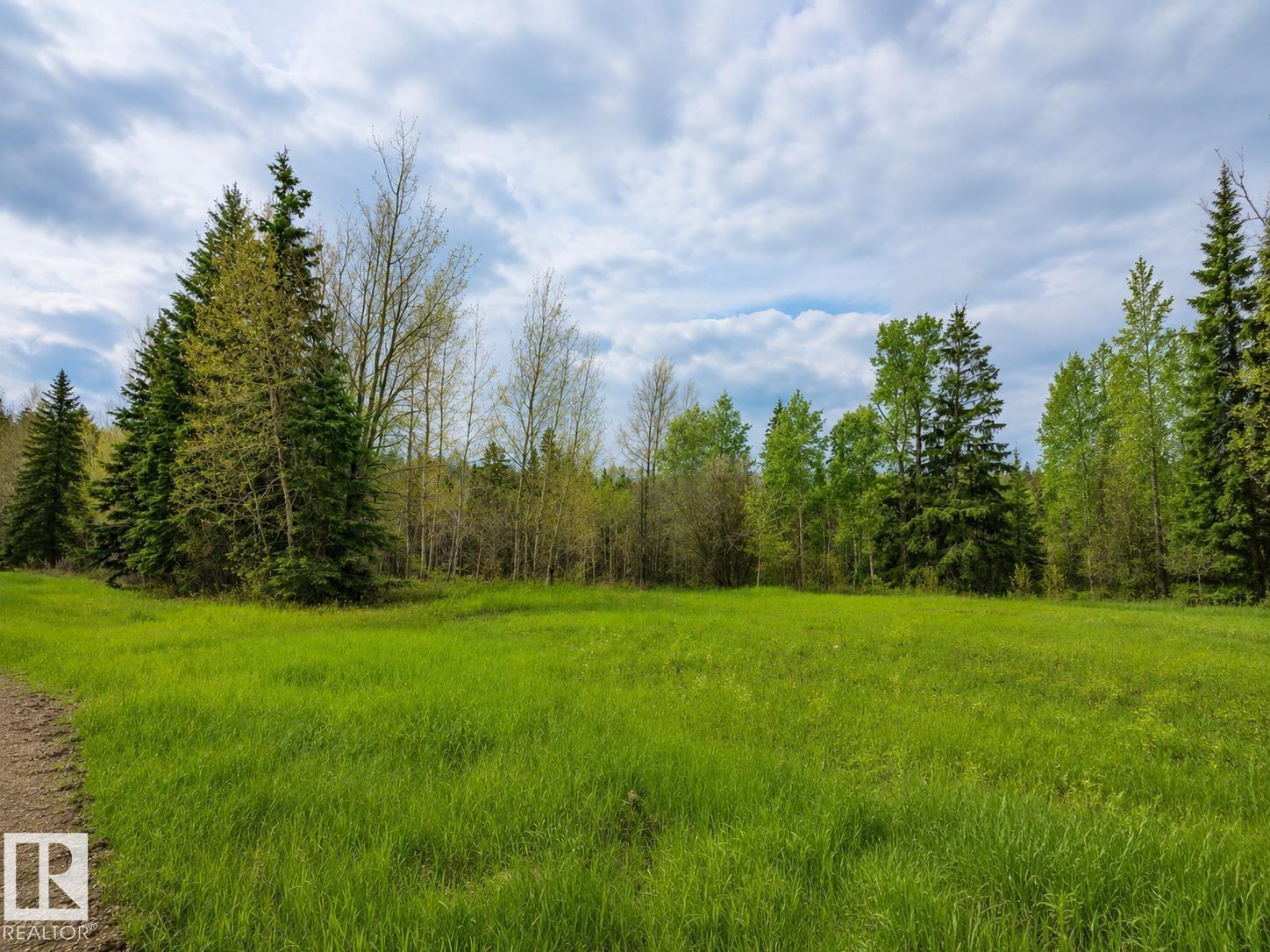 5115 Twp Road 490a, Rural Brazeau County, Alberta T0C 0C0 - Photo 8 - E4472786