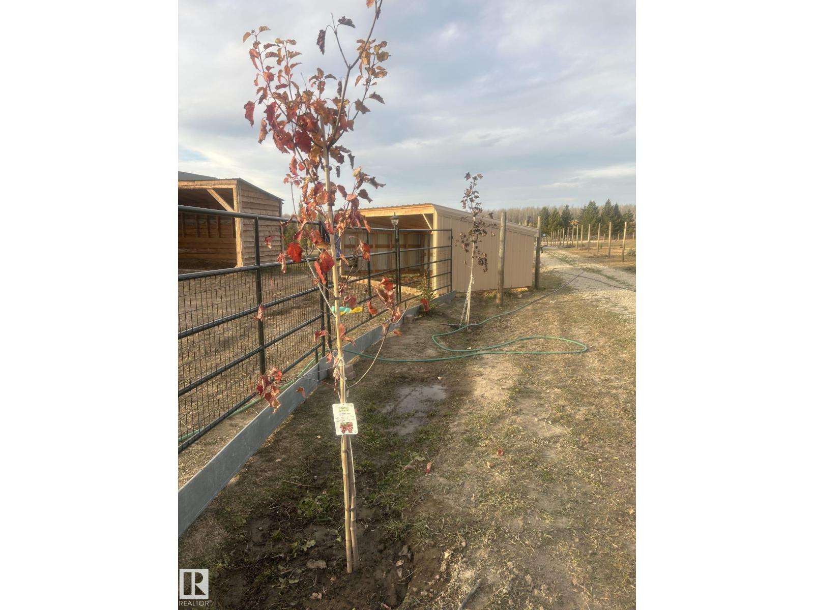 45a 473052 Rge Road 11, Rural Wetaskiwin County, Alberta  T0C 2P0 - Photo 33 - E4473017